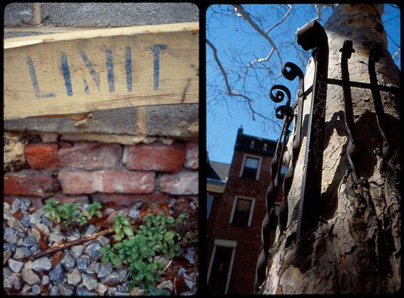 pic 1 - construction barrier with the painted word limit visible. pic 2 - iron bars with a tree growing around them